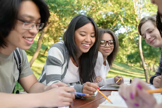 Polytechnic programs